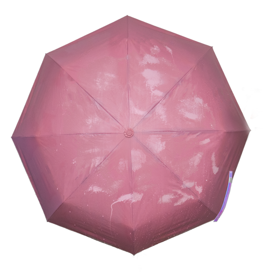 COMPACT UMBRELLA - CHAMELEON BLUSH
